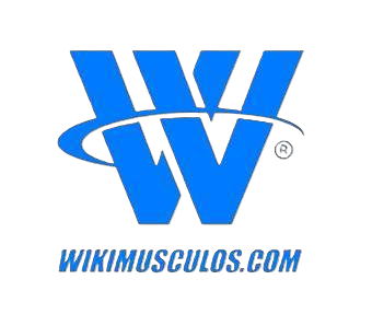 WikiMusculos